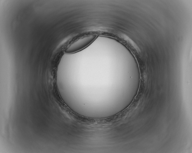 X0000113091064200908281003