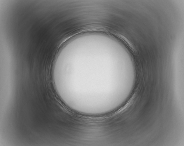 X0000113091065200908281003
