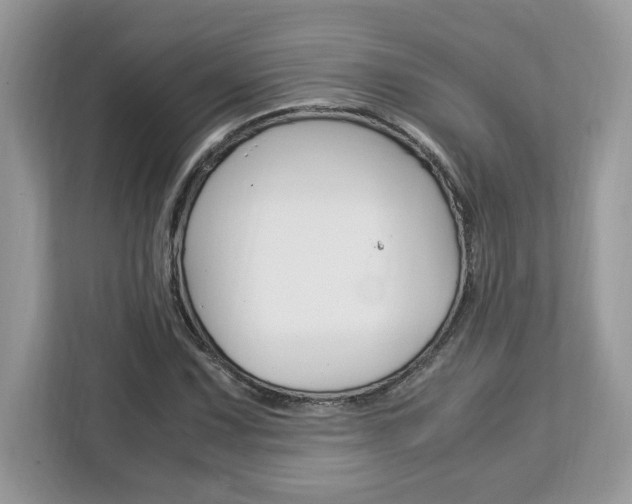 X0000113091067200908281003