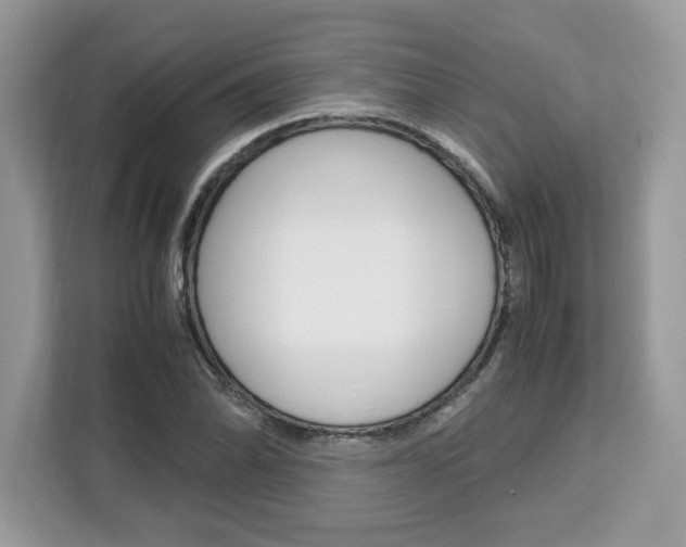 X0000113091070200908281003