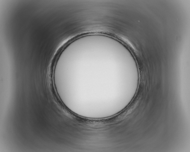 X0000113091071200908281003
