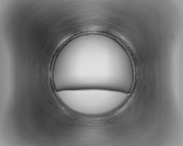X0000113091073200908281003
