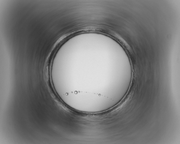 X0000113091075200908281002