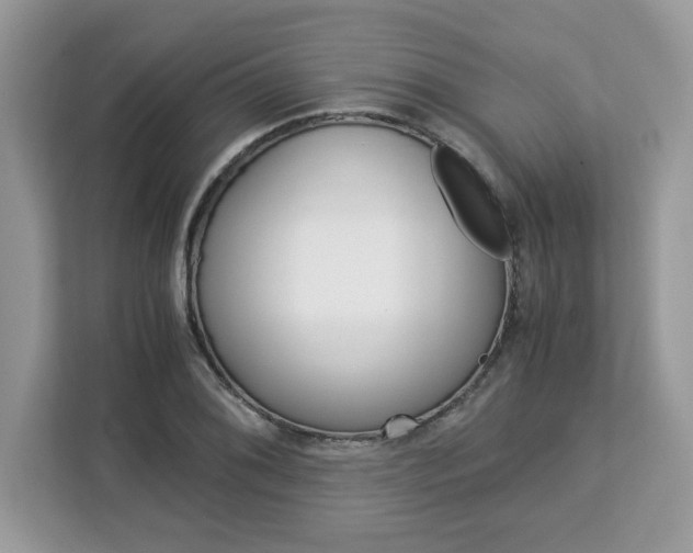 X0000113091076200908281002