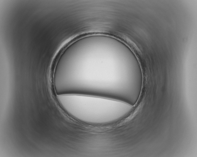 X0000113091077200908281002