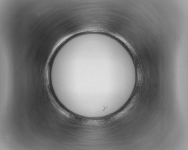 X0000113091078200908281002