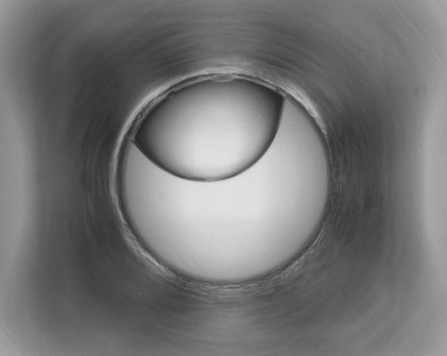 X0000113091080200908281002