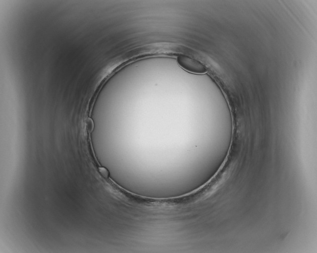 X0000113091081200908281002