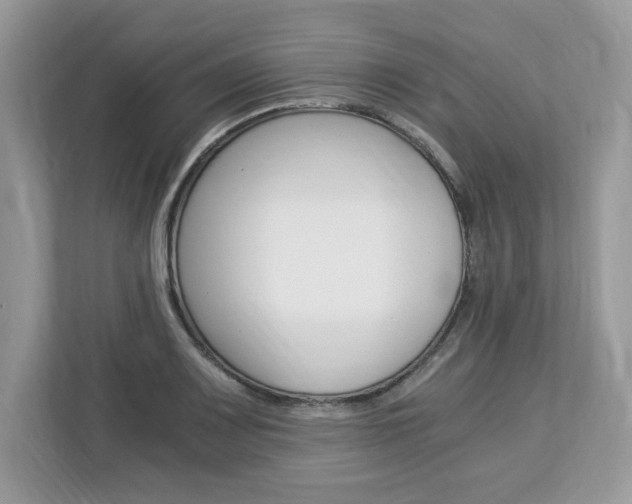 X0000113091083200908281002