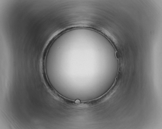 X0000113091085200908281002