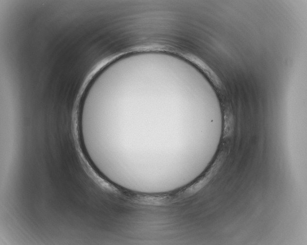 X0000113091086200908281002
