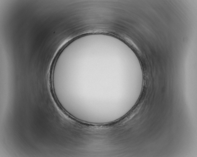 X0000113091087200908281002