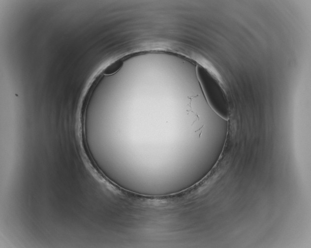 X0000113091088200908281002