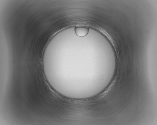 X0000113091089200908281002