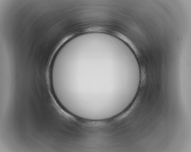 X0000113091090200908281002