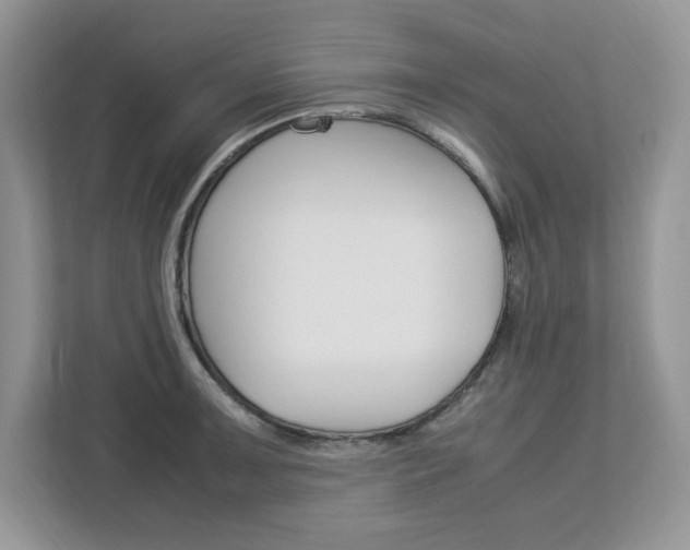 X0000113091091200908281002
