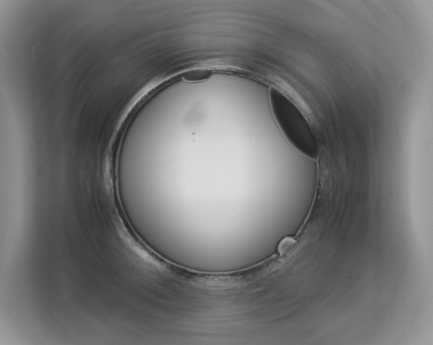 X0000113091092200908281002