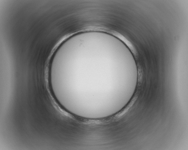 X0000113091094200908281002