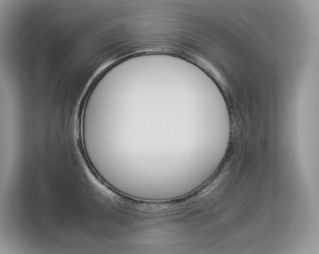 X0000113091095200908281002