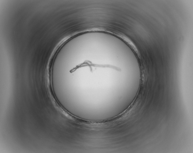 X0000113091096200908281002