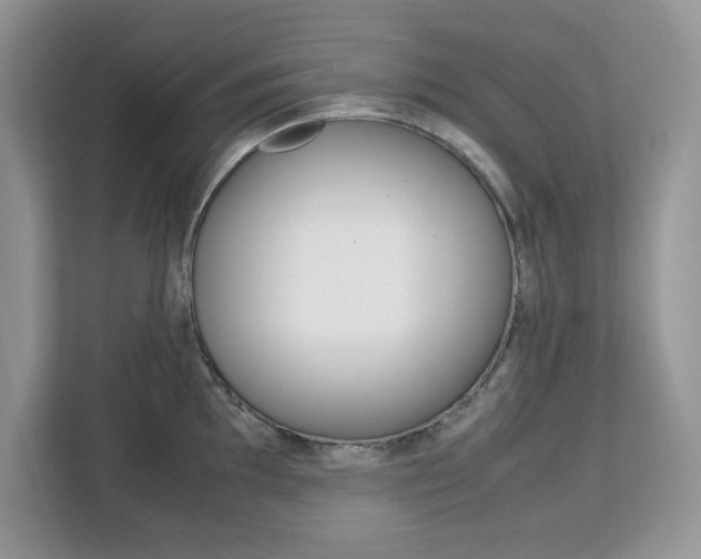 X0000113091097200908281002