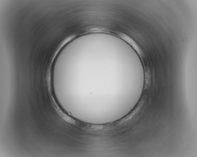 X0000113091098200908281002