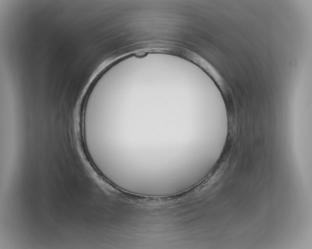 X0000113091099200908281002