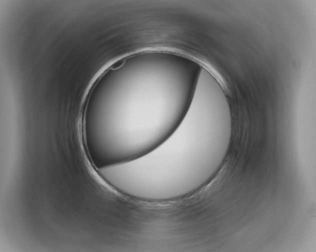 X0000113091100200908281002