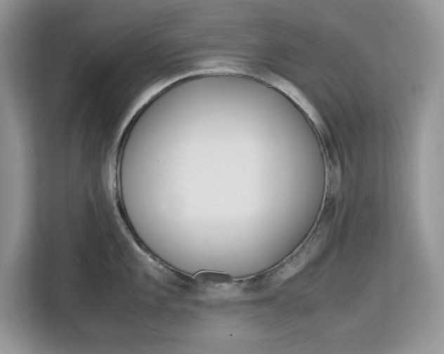X0000113091101200908281002
