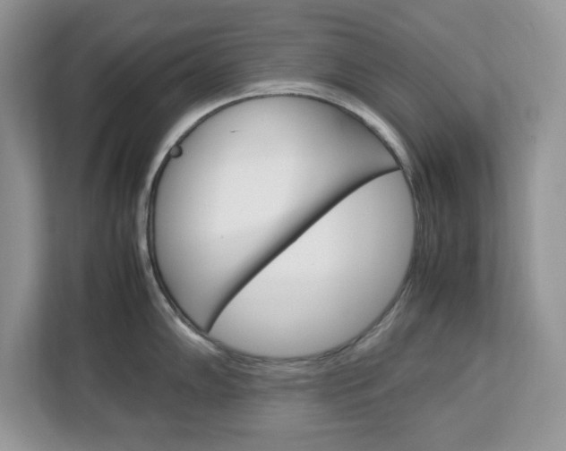 X0000113091102200908281002