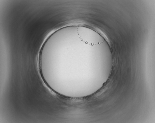 X0000113091103200908281002