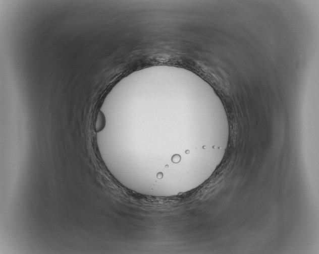 X0000113091105200908281001