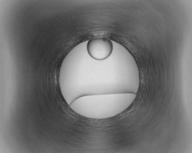 X0000113091106200908281002