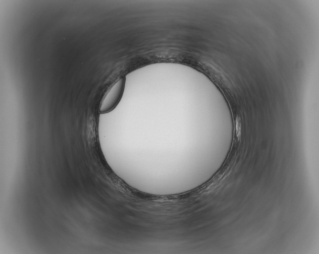 X0000113091107200908281002