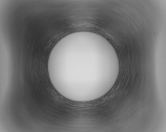 X0000113091108200908281002