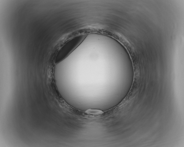 X0000113091110200908281002