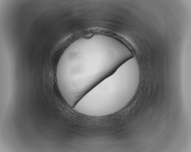 X0000113091111200908281002