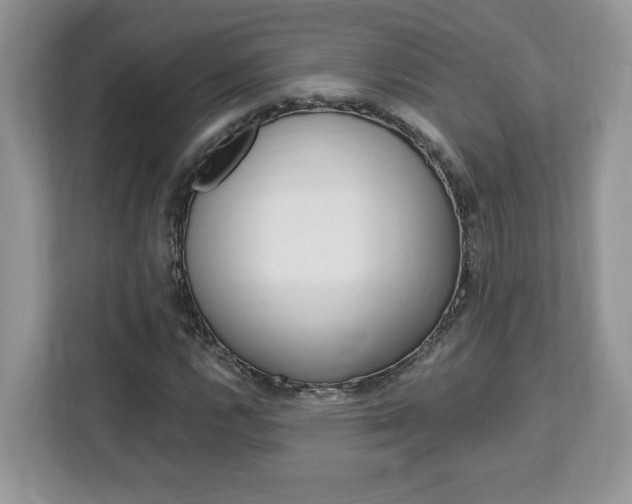 X0000113091112200908281002