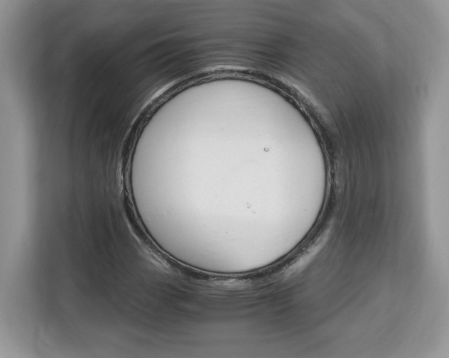X0000113091113200908281002