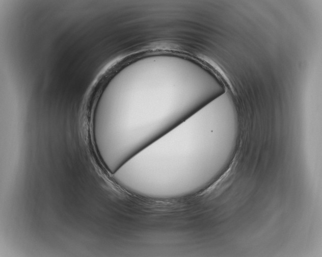 X0000113091115200908281002
