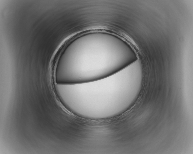 X0000113091116200908281002