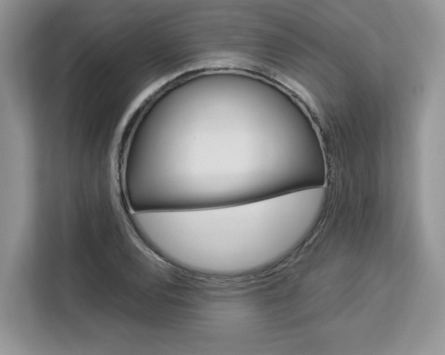 X0000113091120200908281002