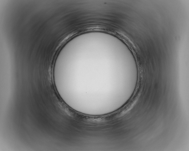 X0000113091121200908281002
