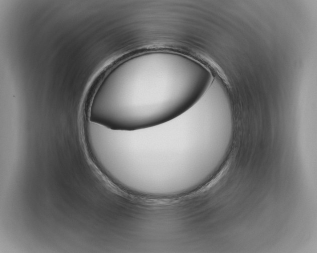 X0000113091122200908281002