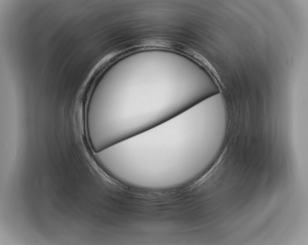 X0000113091123200908281002