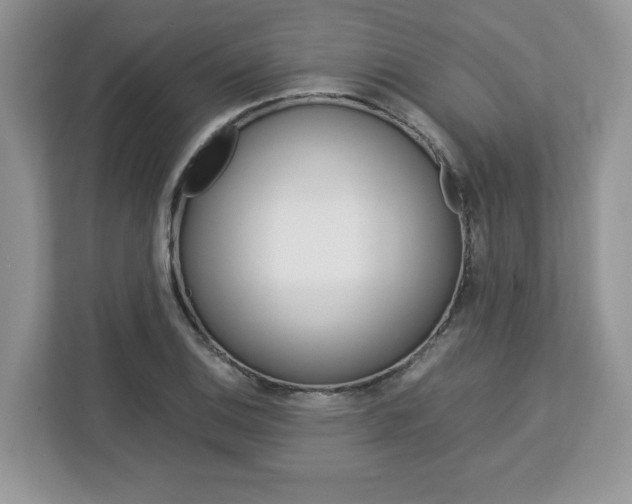 X0000113091124200908281002