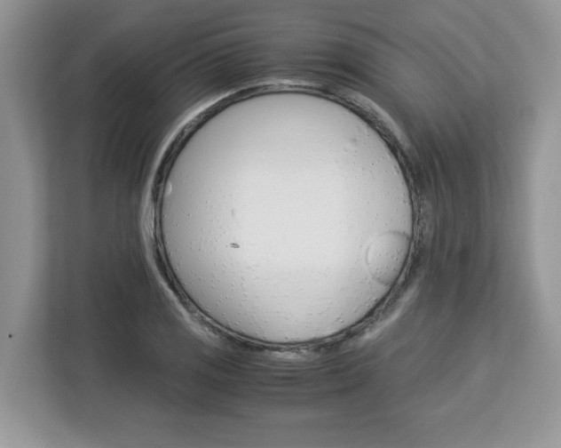 X0000113091125200908281002