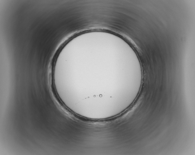 X0000113091126200908281002