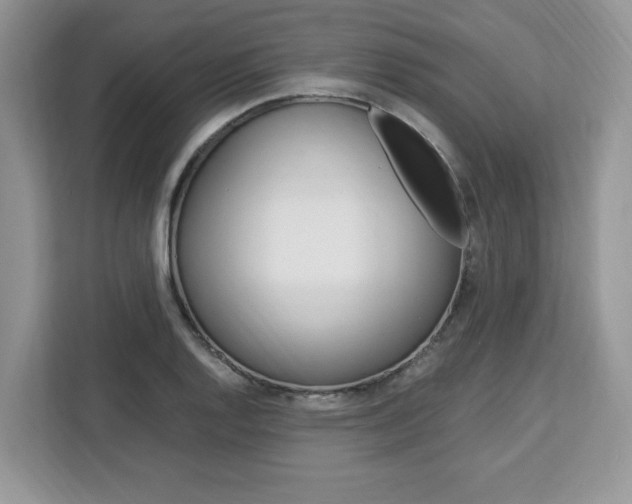 X0000113091128200908281002