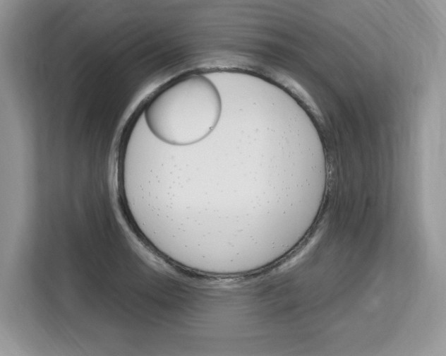 X0000113091130200908281002